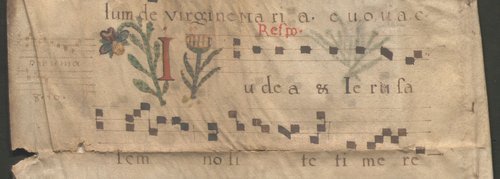 Vue de la mention « Respo. E »