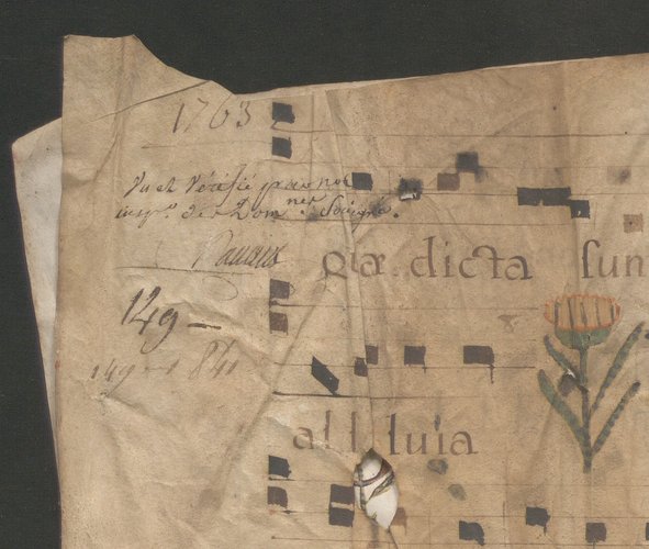 Vue de la mention « vue et vérifié … »