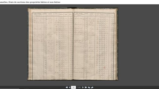 Extrait dees états de sections du cadastre napoléonien de Jumelles