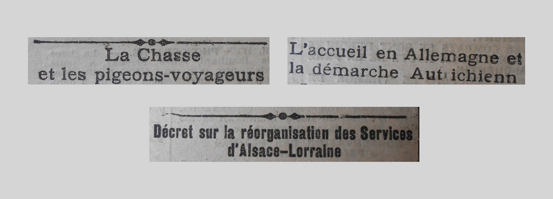 Unes de journal : « La chasse et les pigeons-voyageurs. L'accueil en Allemagne et la démarche autrichienne. Décret sur la réorganisation des services d'Alsace-Lorraine. »