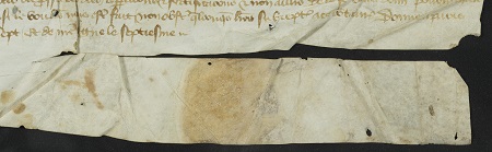 Zoom sur la simple queue de parchemin