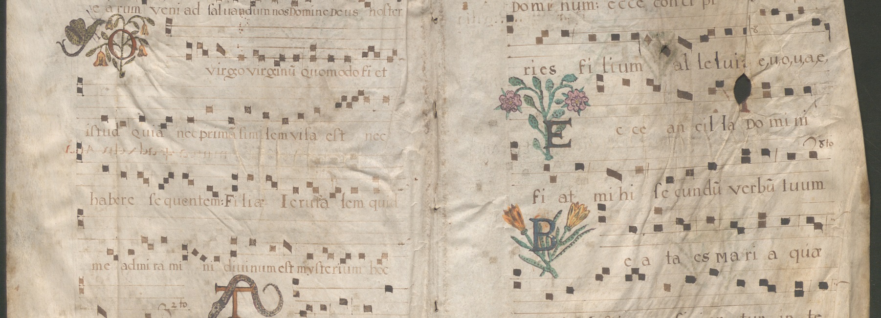 Vue générale de la première page de l'antiphonaire