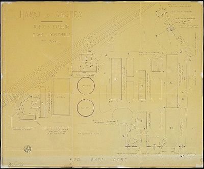 Haras d'Angers, dépôt d'étalons, plan d'ensemble