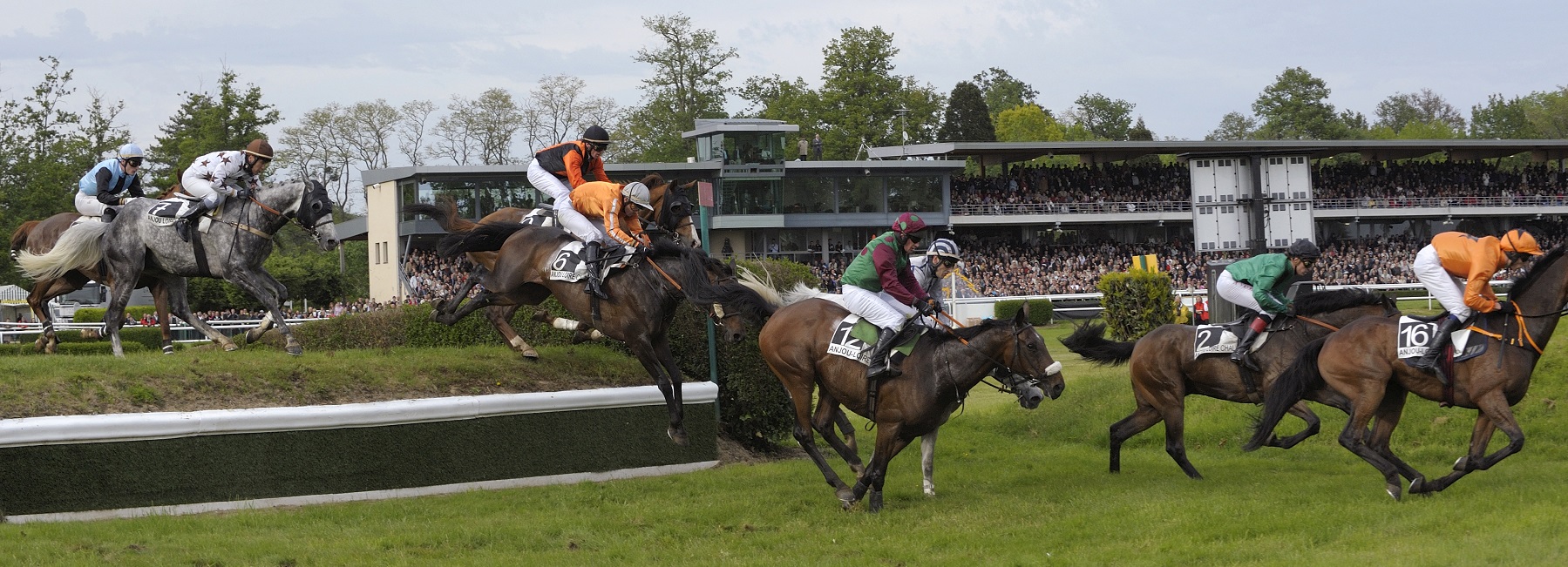 Course d'obstacles, Anjou-Loire Challenge, hippodrome de l'Isle Briand